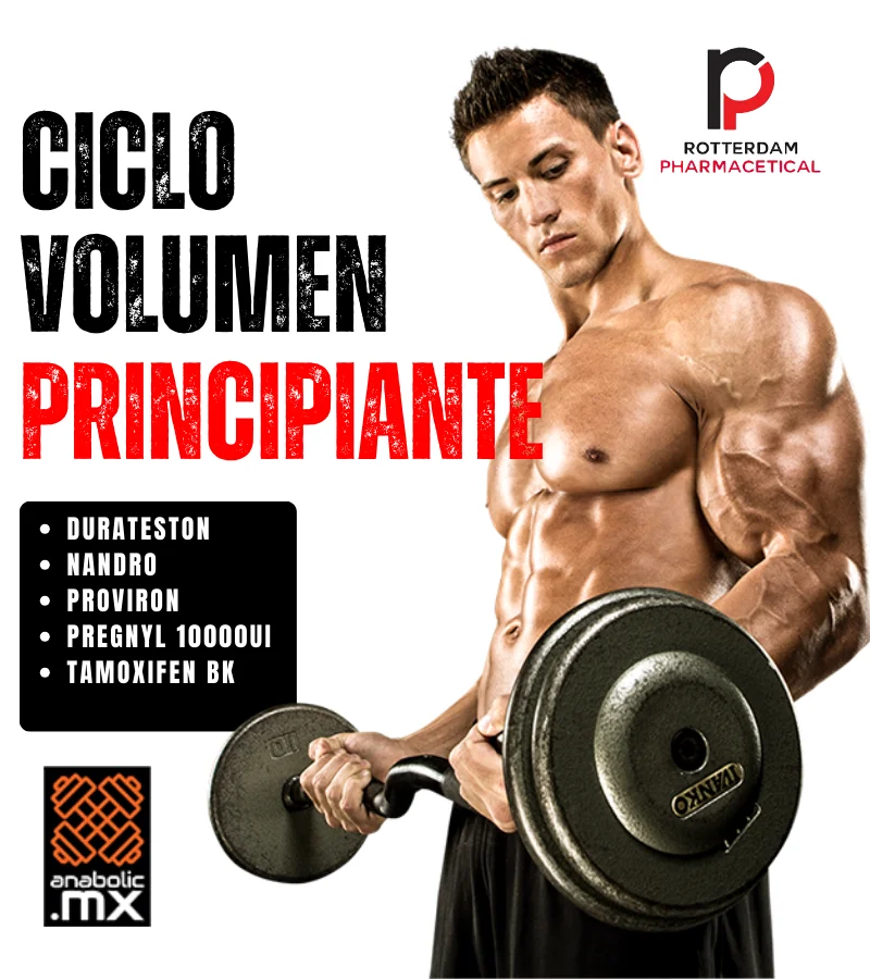 Ciclo Volumen Principiante Rotterdam